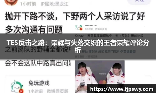 TES反击之路：荣耀与失落交织的王者荣耀评论分析