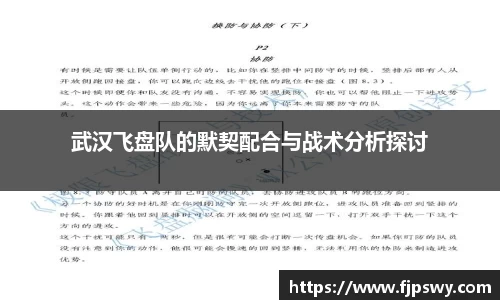 武汉飞盘队的默契配合与战术分析探讨