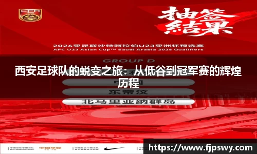DB旗舰官网